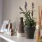 MiTRa Luxury Apartments