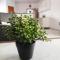 Guesthouse Varnica