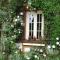 Forest Farm photo 17