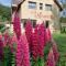 La Neyrette photo 20