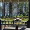 Aalto Koli
