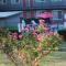 Days Inn by Wyndham Show Low - شو لو