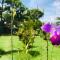 All Rankins Eco-Lodge