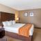 Comfort Inn & Suites - موهافي