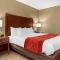 Comfort Inn & Suites Cincinnati Eastgate