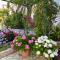 Family Apartments Vesna- 100 m Beach -Center Crikvenica