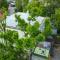 Green House