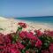 Paradis