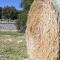Agriturismo Iazzo Scagno - 马丁纳弗兰卡