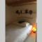 GITE COCOTTE LUBERON, FORCALQUIER