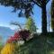 Lavaux Lodge - Romantic escape with magic views!