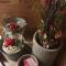 MH Olen Boutique Hotel MH Olen Boutique Hotel