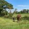 Farmyard Lane Glamping