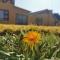 The Yellow Butterfly