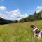 Nire Valley Eco Camp Nire Valley Eco Camp