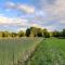 Domek Drewniany - Nowa Wola