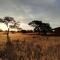 Jansen Kalahari Guest Farm