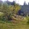 Agritur Manoncin