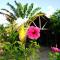 Hotel le Lagon