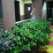 Hotell Anna Ureki