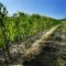 Cascina Olivetta -sleep in winery