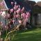 Le Petit Villandry