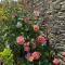 Jasmine Cottage, Upper Slaughter, Cotswolds