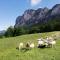Am Mondseeblick