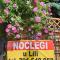 Noclegi u Lili