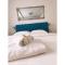 Canti apartments