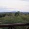 Giraffe plains