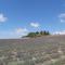 Agriturismo Mandriato Organic Farm in the Tuscan Hills