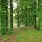 Stacja Nowa Gdynia Bed & Breakfast Aquapark