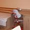 Hotel Alga