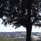 Terrasses de Malmedy - Duplex 419