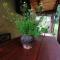 Holiday house apartment Voukov mlin