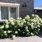 Zoutelande Koddelaan vakantiewoning