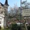 Alleehotel-Eschen - Aurich