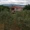 Holiday house Elizabeta near Imotski, private pool