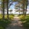 Nice Home In Tarm With Wifi