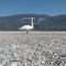 Eco Yourte Lac du Bourget - Conjux