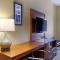 Comfort Inn & Suites - Amarillo