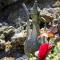 Guest house Blagaj