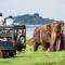 Dinesh Safari Homestay