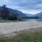 Wildente am See