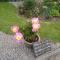 Twin Oaks Bed & Breakfast