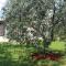 Laura's apartment facing the garden - Poreč