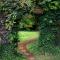Birches Cottage & the Willows Garden Room