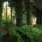 Birches Cottage & the Willows Garden Room