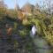 Birches Cottage & the Willows Garden Room